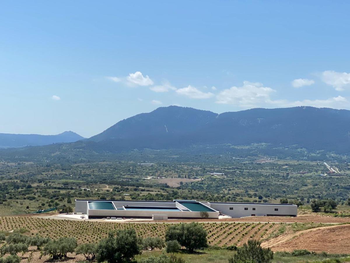 Hotel Tierras De Cebreros Zewnętrze zdjęcie