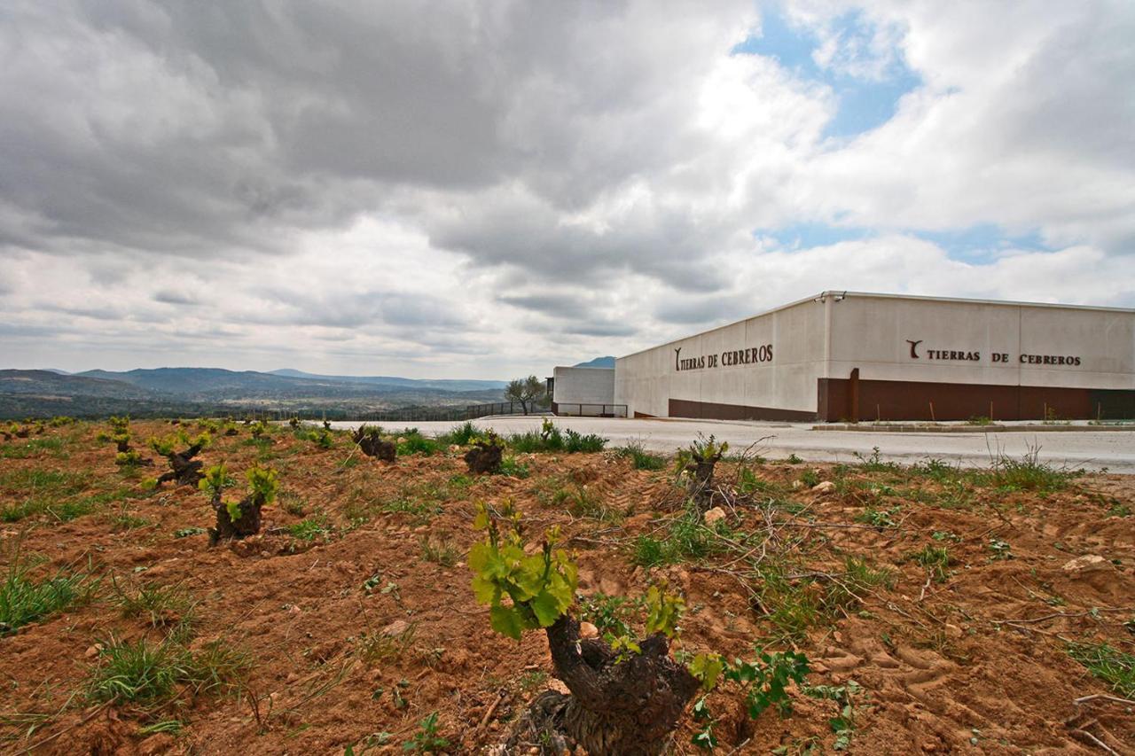Hotel Tierras De Cebreros Zewnętrze zdjęcie